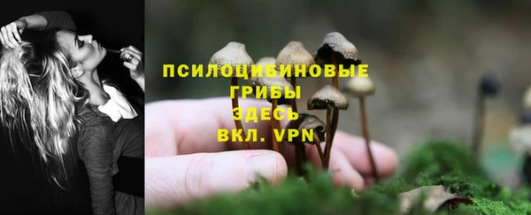 COCAINE Щигры